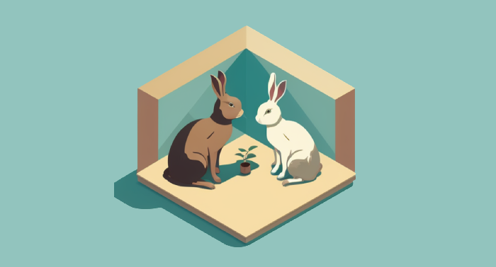 rabbits sharing a plant